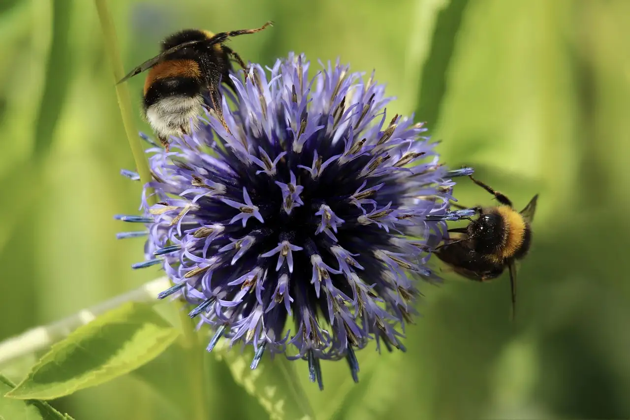 Bumble uhrzeit nachricht anzeigen