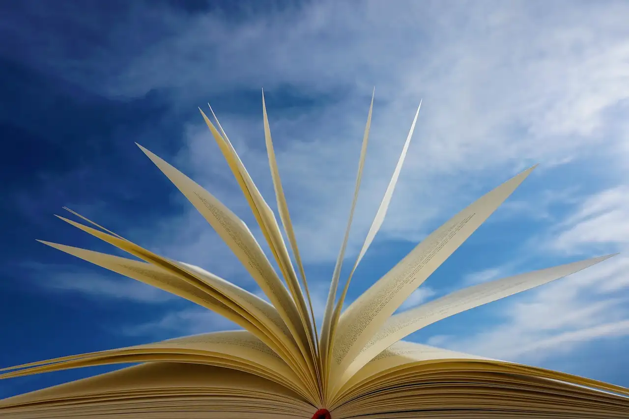Die Nachricht Buch: Bedeutung, Inhalt und Lesetipps 2024