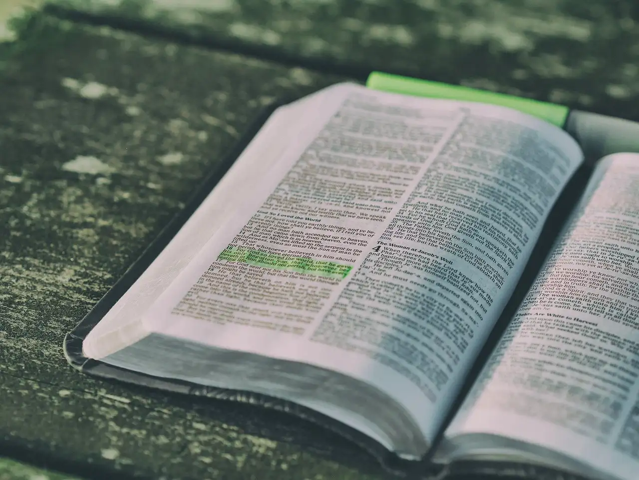 Gute nachricht bibel kaufen
